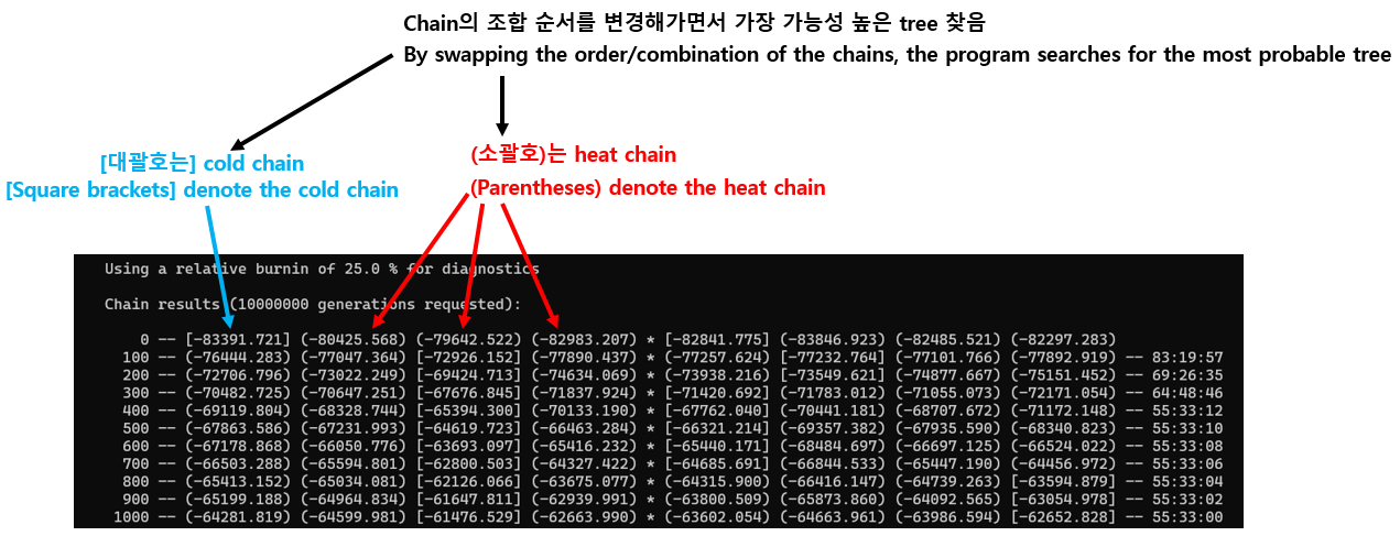 MrBayes 시작 화면